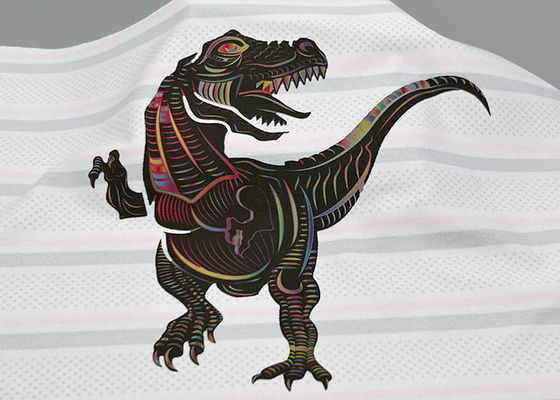 A roupa mágica feita sob encomenda da transferência térmica da cor etiqueta Falt logotipo dito